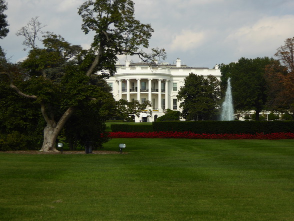white House