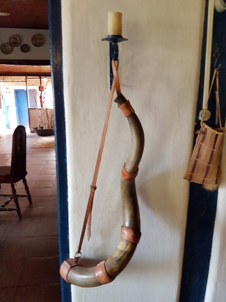 Aguape Fazenda Pantanal  Kuhhorn Blasinstrument