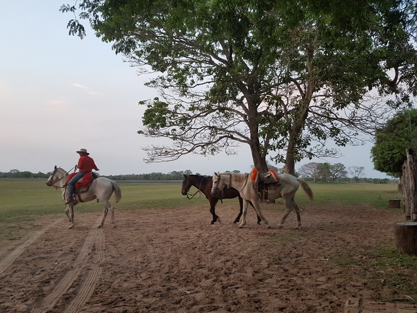 Barra Mansa Lodge Pferdereiten  Ausritt zu Pferd 