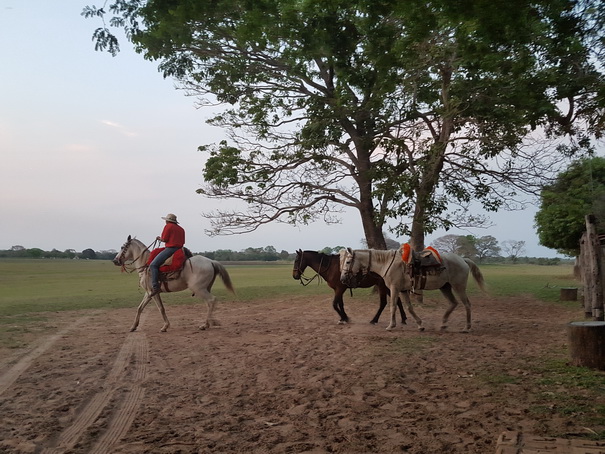 Barra Mansa Lodge Pferdereiten  Ausritt zu Pferd 