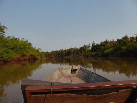 Aguape Fazenda Pantanal Boatsafari