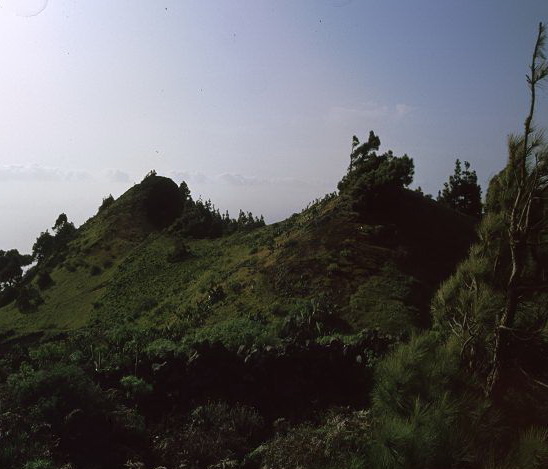 La Palma  Vulkankrater 