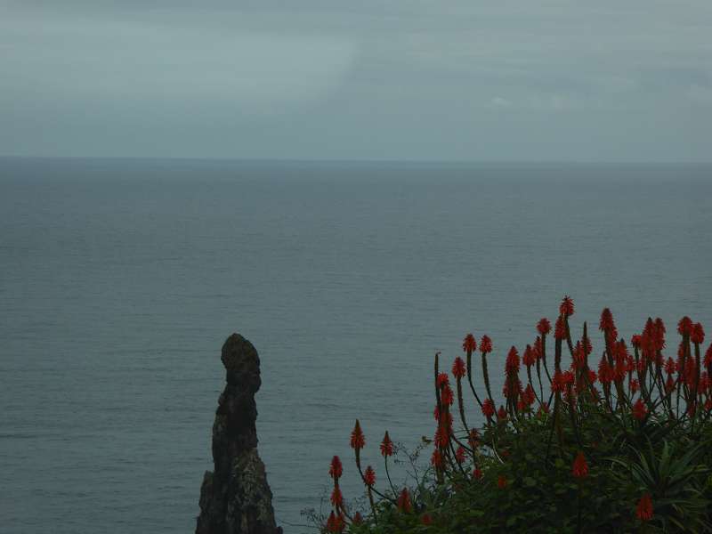 Madeira   Prego do mar Felsnadel Rock/Rocha da Vela