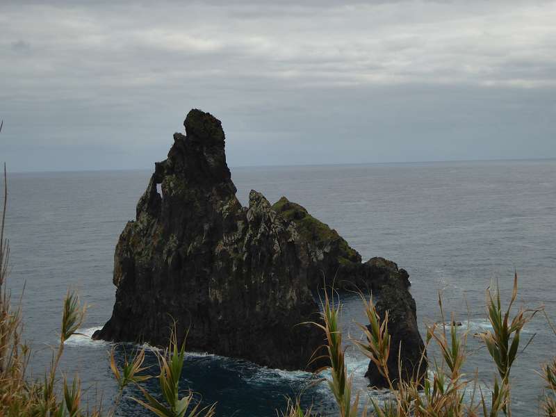 Madeira   Prego do mar Felsnadel Rock/Rocha da Vela