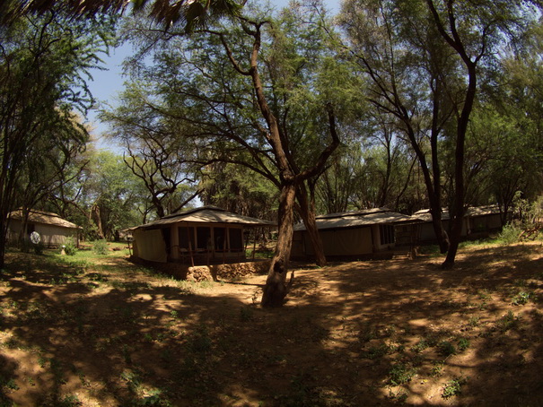   Samburu Nationalpark  Larsens Camp tentsSamburu Nationalpark  Larsens Camp tents