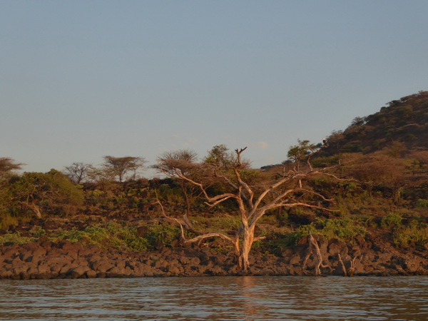 Kenia  Lake Baringo Island Camp Boatsafari