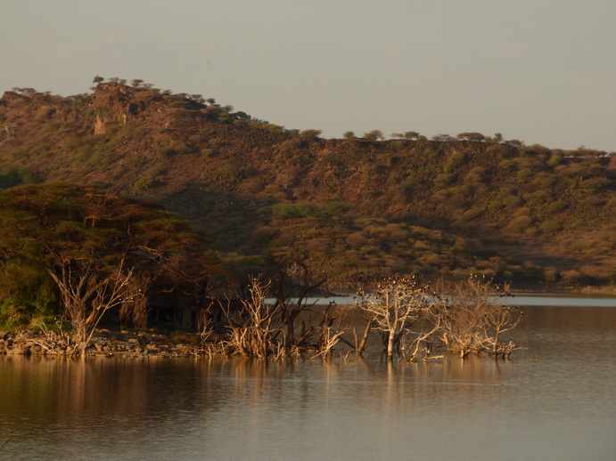  Kenia  Lake Baringo Island Camp 