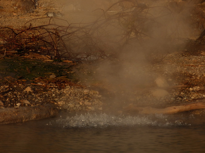  Kenia  Lake Baringo Hot Springs in the Lake