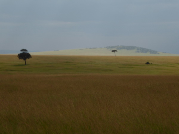   Masai Mara  LandscapeMasai Mara  Mud 