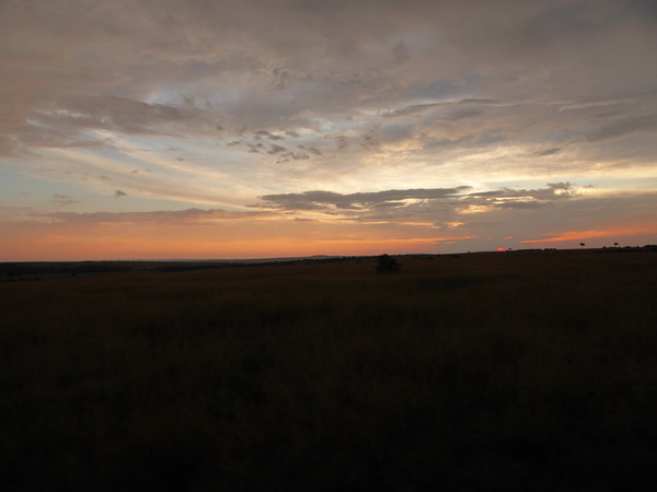 Masai Mara  Landscape