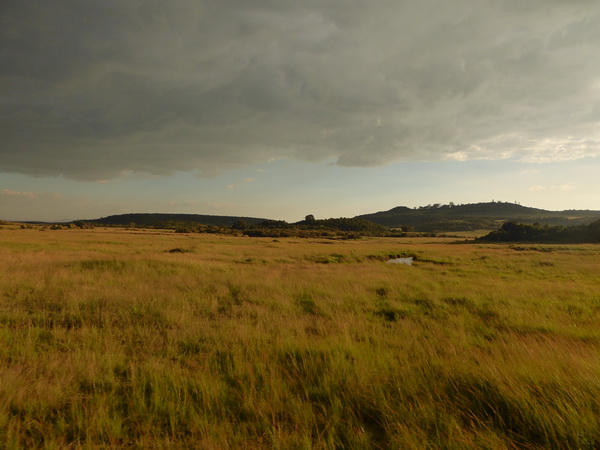 Masai Mara  Landscape