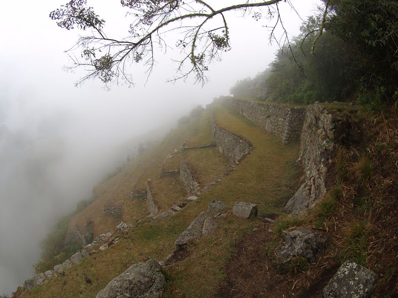 Machu Picchu Santuario Historico Machu Picchu Buenavista 