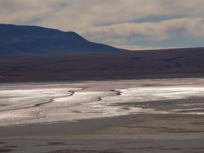 Laguna verde Bolivien Uyuni 4x4 Salzsee Saltlake Dali Desierto Flamencos Flamingos