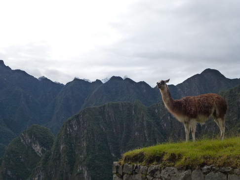 Aguas Calientes Sumaq Machu Picchu with lama