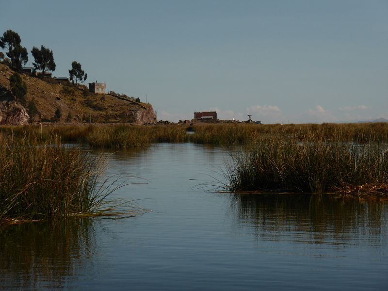 schilfinseln uros Schilf Titicacasee