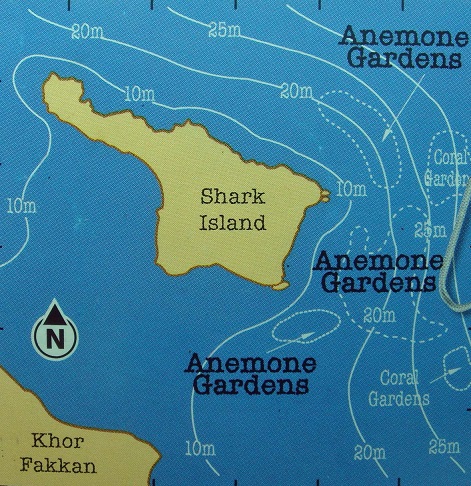 sandybeach_Shark-Island
