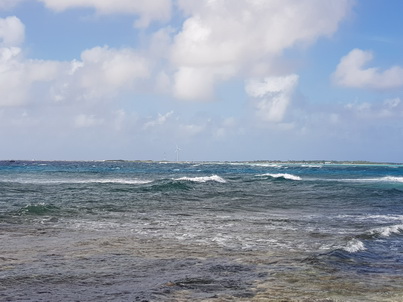   Bonaire Conch Berge MuschelbergeBonaire Bonaire Conch Berge Muschelberge