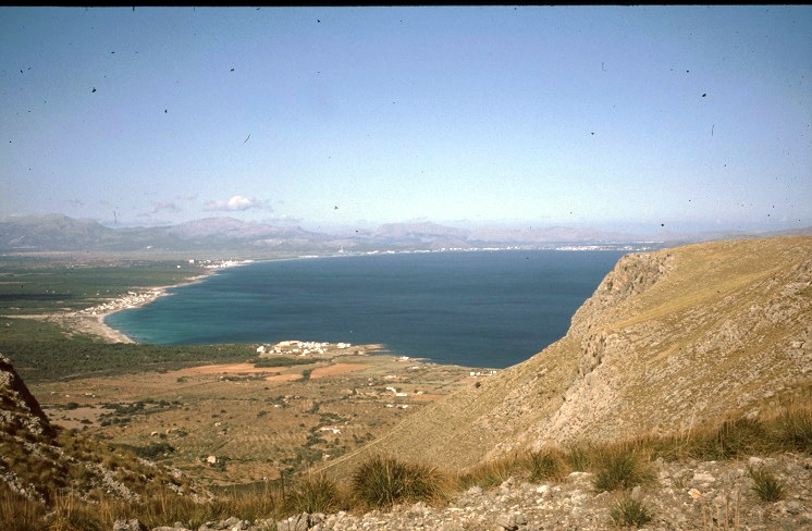  Bucht von Alcudia 
