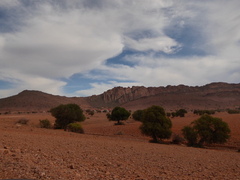  Marokko Agadir Rasbouka Duenen Atlasgebirge arganoelbaum arganbaum (2531 m) im Südwesten Marokkos Antiatlas