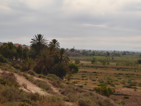  Marokko Agadir  souss massa national park Tifnit 