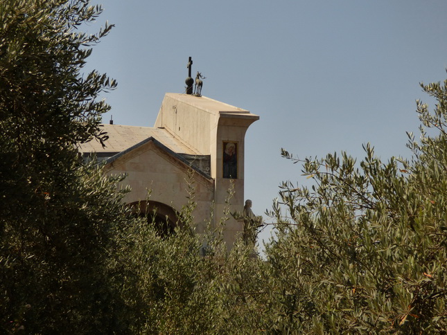 JERUSALEM Garten gethsemane