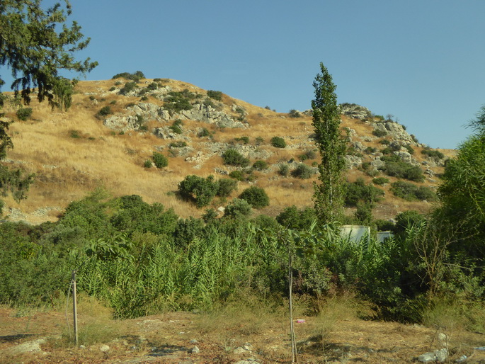 Zypern Ausgrabungen Khirokitia