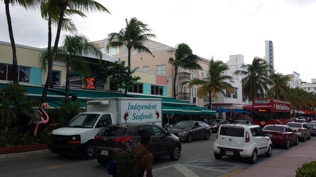 Miami Skyline  Ocean Drive Art Deco South Beach Dodge Island Cruise Ship Terminal 