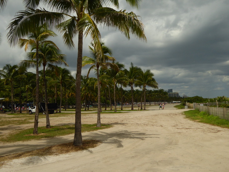   Miami miamibeach Strand Miami miamibeach Strand  Miami miamibeach StrandMiami miamibeach Strand  Miami miamibeach StrandMiami miamibeach Strand  Miami miamibeach StrandMiami miami skyscrapers  