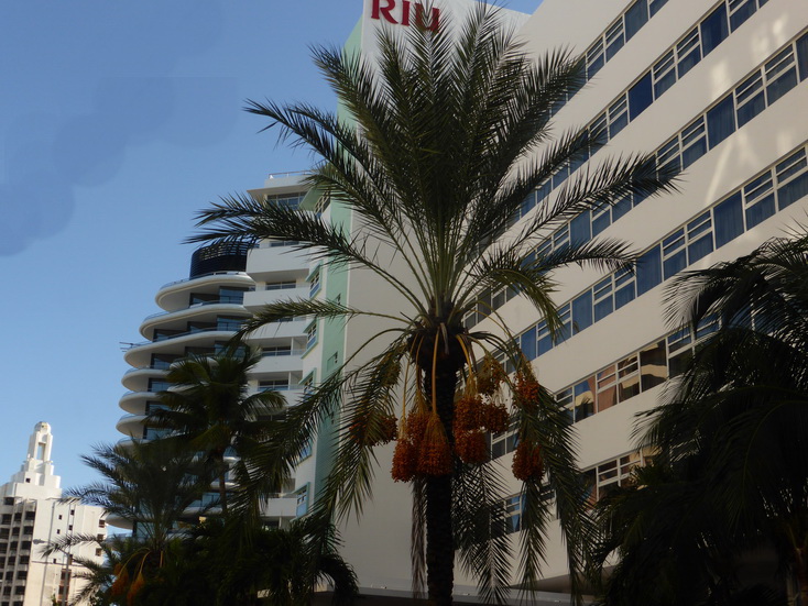 Miami miami skyscrapers  Art Deco