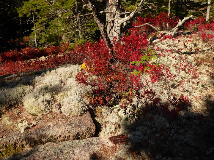   Wanderung im Acadia-Nationalpark  Cadillac Mountain NP  Hiking Trail from Otter Cove to TopWanderung im Acadia-Nationalpark  Cadillac Mountain NP  Hiking Trail from Otter Cove to Top