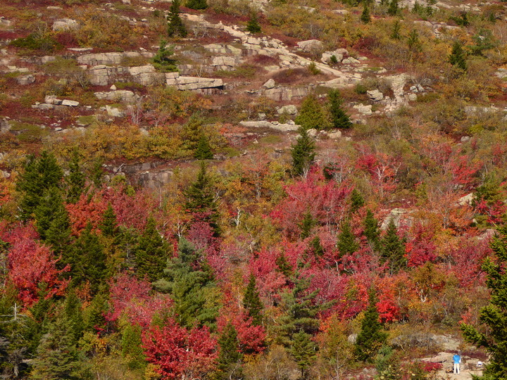 Wanderung im Acadia-Nationalpark  Cadillac Mountain NP  Hiking Trail from Otter Cove to Top