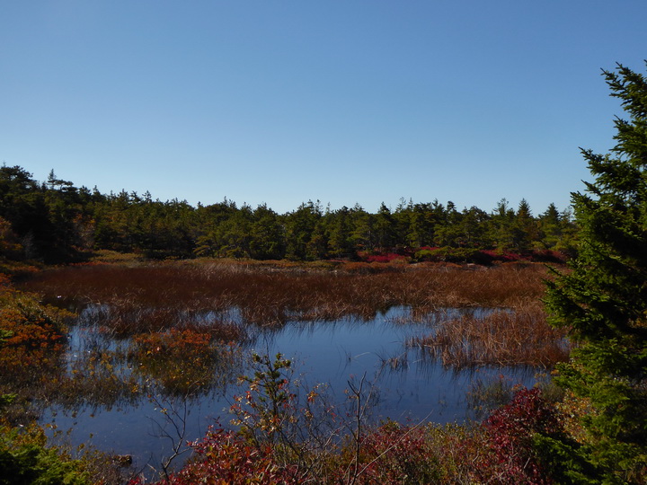 Wanderung im Acadia-Nationalpark  Cadillac Mountain NP  Hiking Trail from Otter Cove to Top