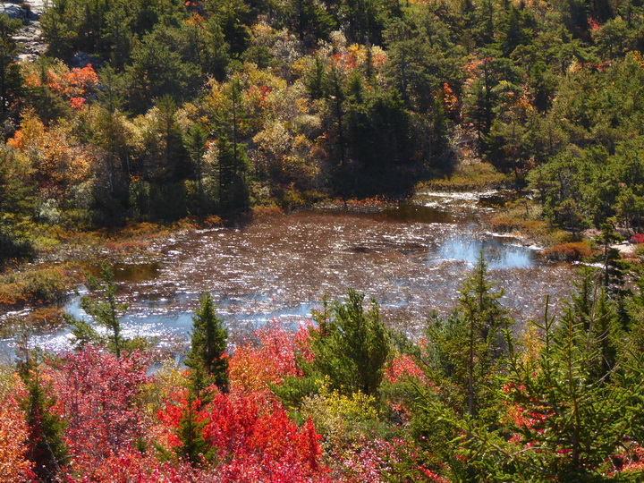 Wanderung im Acadia-Nationalpark  Cadillac Mountain NP  Hiking Trail from Otter Cove to Top