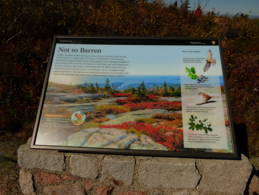  Cadillac Mountain NP  Hiking Trail from Otter Cove to Top