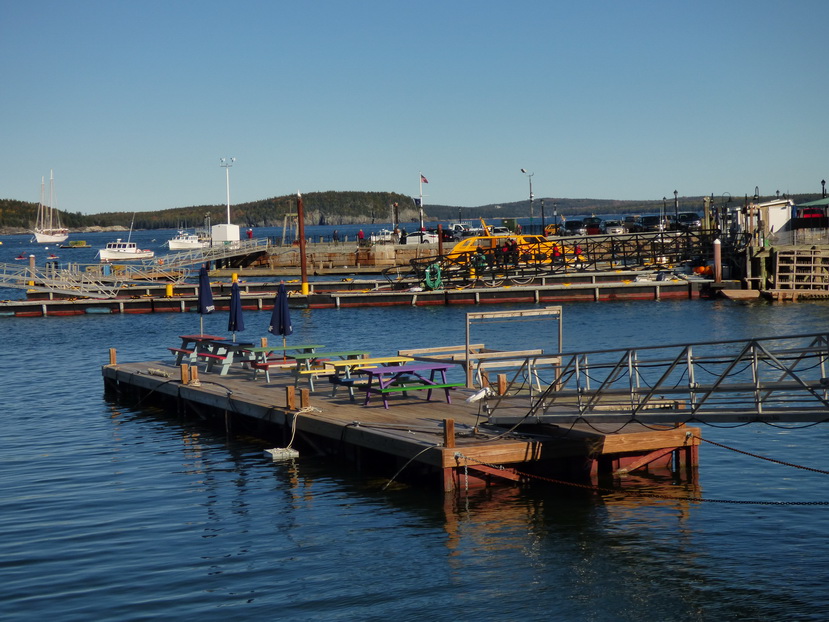 Beegarden on the pier