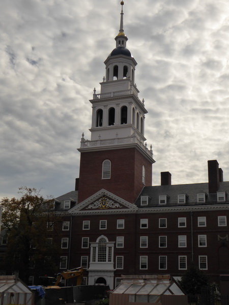 Boston  Harvard 