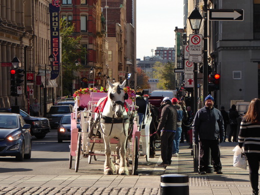 Montreal city