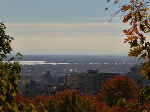   Montreal Montreal Aufstieg Mont Royal Montreal Montreal Aufstieg Mont Royal