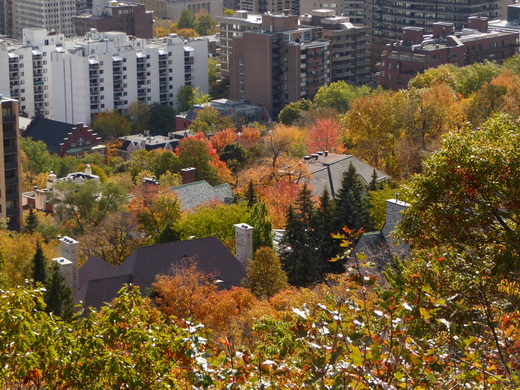   Montreal Montreal Aufstieg Mont Royal Montreal Montreal Aufstieg Mont Royal