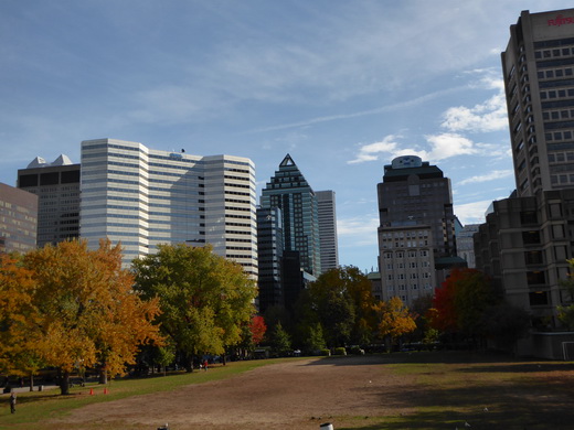   Montreal Abstieg Mont Royal Montreal Abstieg Mont Royal