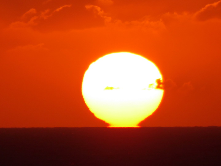 Hamilton Bermuda Bermudas  Sundowner 