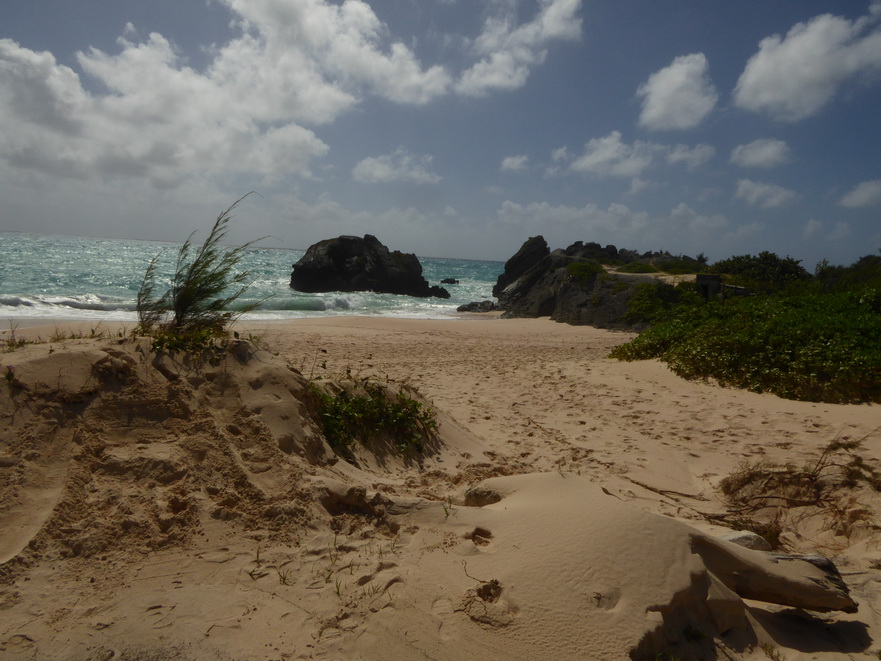 Hamilton Bermuda Beaches  Bermudas Beach Horseshoe Beach 