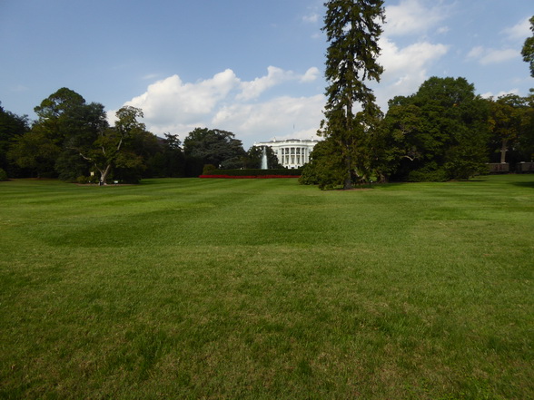 white House