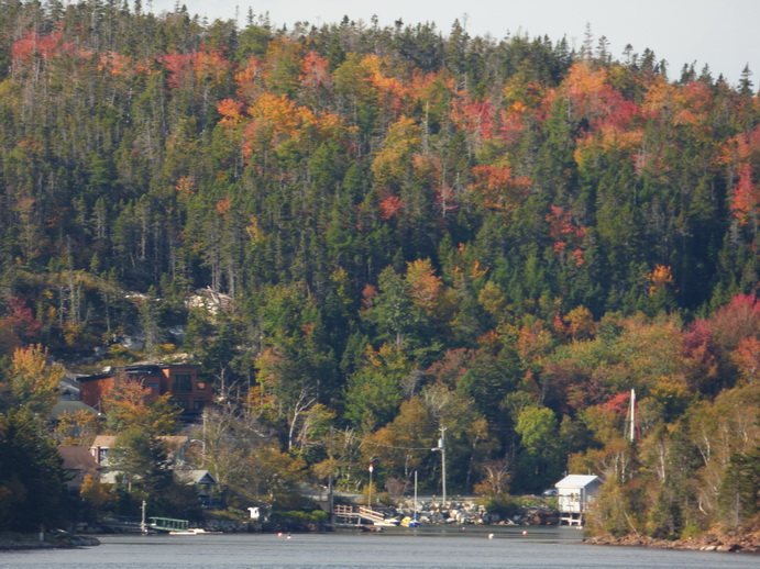 Halifax Harbour Hailfax Island Mc Nabs Peggys Cove 