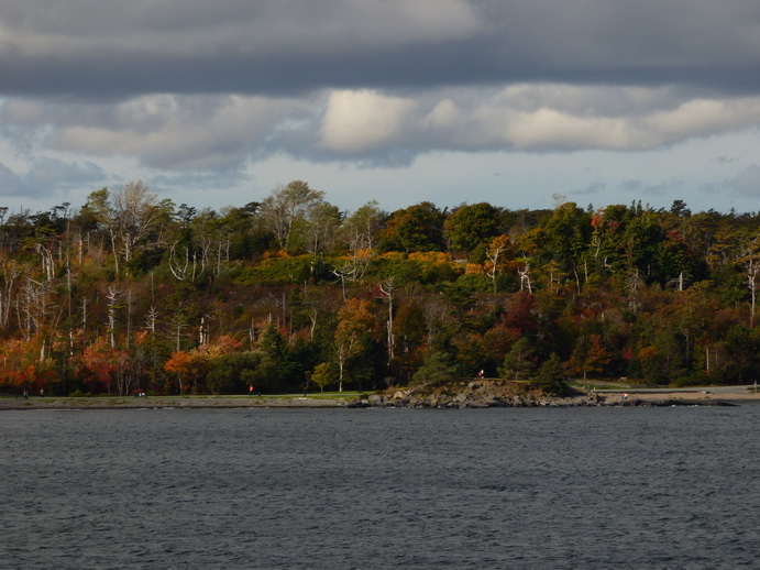 Halifax Harbour Hailfax Island Mc Nabs Peggys Cove 