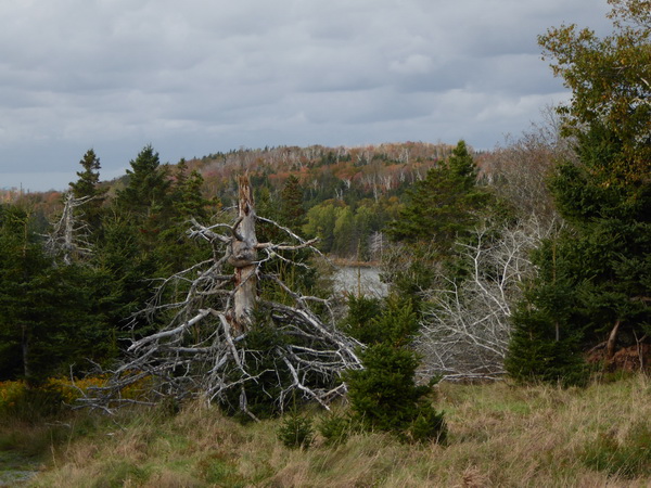 Halifax Harbour Hailfax McNabs Island Provincial Park 