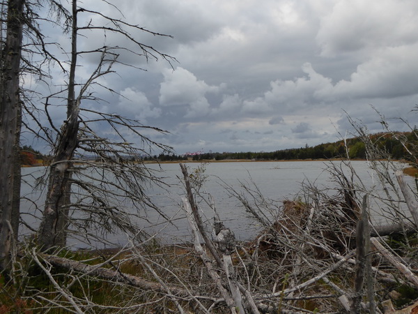 Halifax Harbour Hailfax McNabs Island Provincial Park 