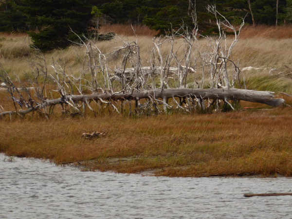 Halifax Harbour Hailfax McNabs Island Provincial Park 