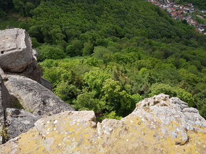 Pfalz Neustadt an der Weinstrasse Annweiler  Burg Trifels 