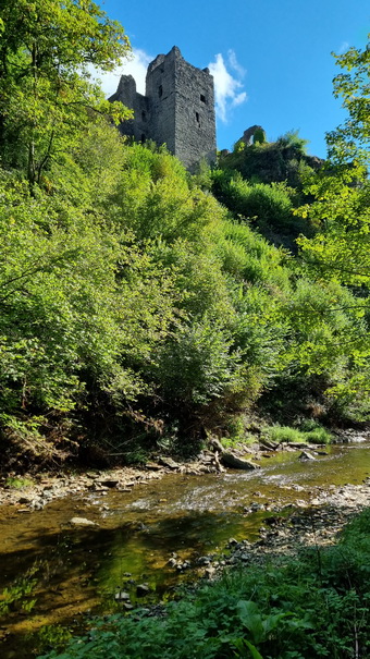 Manderscheid  Burgen 2 Manderscheider  bUrgen Niederburg 